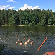 img 033